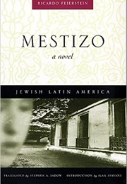Mestizo (Ricardo Feierstein)