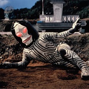 Human Specimens 5 & 6