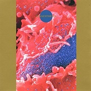 Death Ambient - Synaesthesia