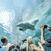 Assiniboine Park Zoo