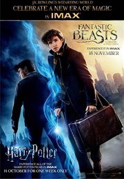 Wizarding World (2001)