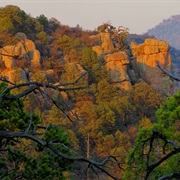 Gila National Forest