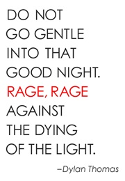 Do Not Go Gentle Into That Good Night (Dylan Thomas)