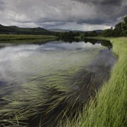 Insh Marshes