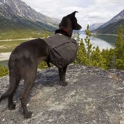 Chilkoot Trail, Alaska, Yukon, &amp; British Colombia