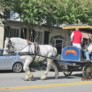Historic Downtown Charleston, SC