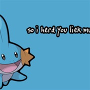 I Herd U Liek Mudkips