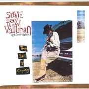 The Sky Is Crying - Stevie Ray Vaughan and Double Trouble