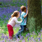 Find a Secret Hiding Spot