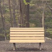 Streetlight Manifesto - The Hands That Thieve