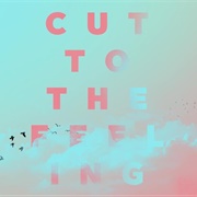 Cut to the Feelings by Carly Rae Jepsen
