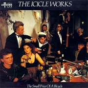 The Icicle Works