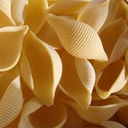 Conchiglie (Shells)