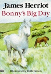 Bonny's Big Day (Herriot, James)