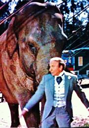 Jumbo - Sydney the Elephant