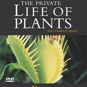 The Private Life of Plants