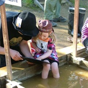 Gold Panning Championships in Tankavaara (For All Ages)