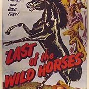 611 - Last of the Wild Horses