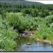 Coyote Creek State Park, New Mexico