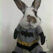 Batman Bunny