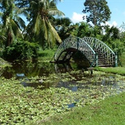 Botanical Gardens of Georgetown, Guyana