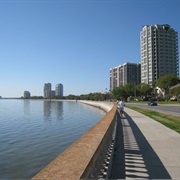 Bayshore Boulevard