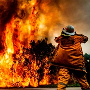 Bushfires