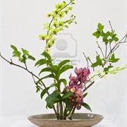 Ikebanka (Flower Arranging)