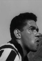 Garrincha: Hero of the Jungle