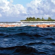 Rose Atoll Marine National Monument