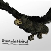 Thunderbird