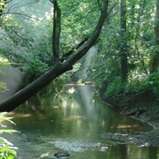 Cool Creek Park Carmel, IN