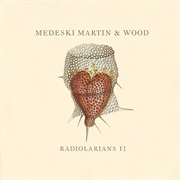 Medeski, Martin & Wood - Radiolarians II