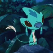 Belle (Experiment 248)