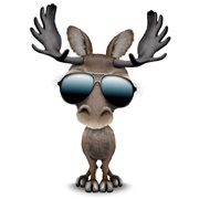 Cool Moose
