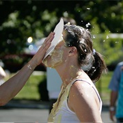 Smash Pie in Someone's Face