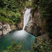 Cloudbridge Nature Reserve Costa Rica