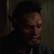 Schakal - Jackal Wesen