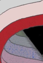 The User Experience Team of One: A Research and Design Survival Guide (Leah Buley)