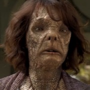 Genio Innocuo - Tortoise Wesen