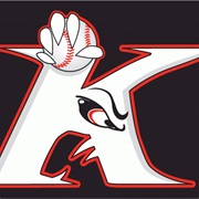 Kannapolis Intimidators (A)