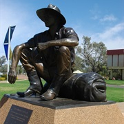 Cunnamulla Fella