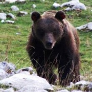 Monti Simbruini Regional Park, Italy