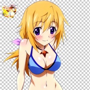 Charlotte Dunois