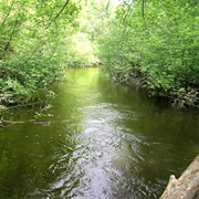 Pike Wild River, Wisconsin