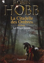 La Citadelle Des Ombres (Robin Hood)