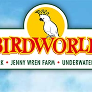 Birdworld