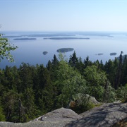 Koli National Park, Finland