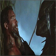 Predator