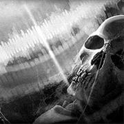 Sound Creature at Zarata Research Centre